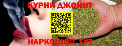 гидра Новодвинск