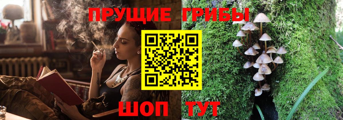 Чехов  Галлюциногенные грибы MAGIC MUSHROOMS  Вход с VPN  Псилоцибиновые грибы прущие грибы 
